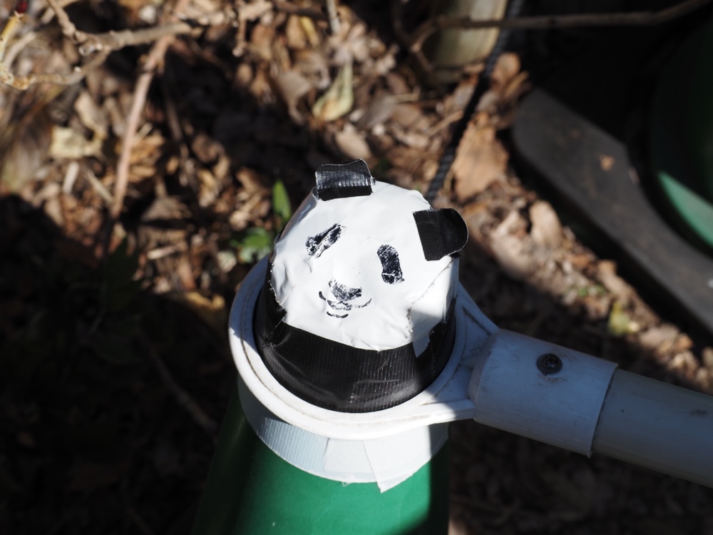 上野動物園のパンダのコーン