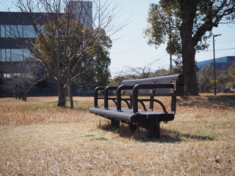 新浜公園の低すぎるベンチ